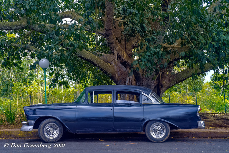 1956 Chevy