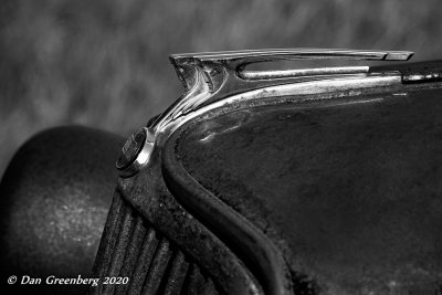 Featured Gallery