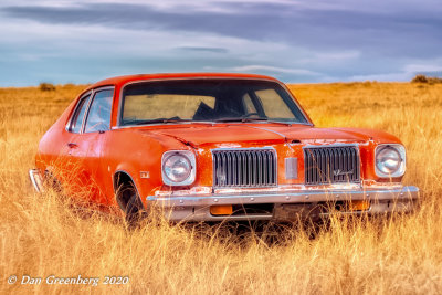 1974 Oldsmobile Omega