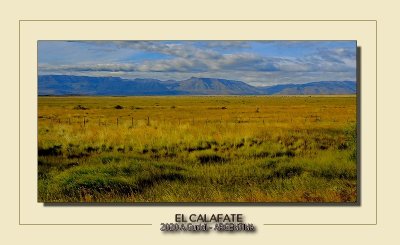 _DSC8060.jpg
