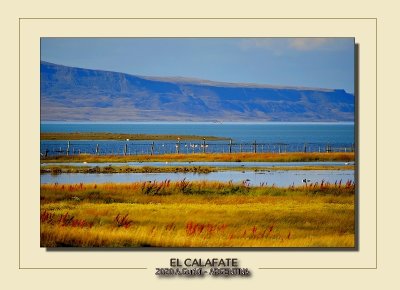 _DSC9490.jpg