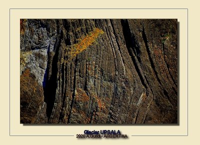 _DSC9415.jpg