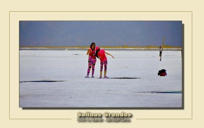 _DSC3768.jpg