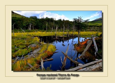 Parque Nacional Tierra de Fuego 2020 USHUAIA ARGENTIA