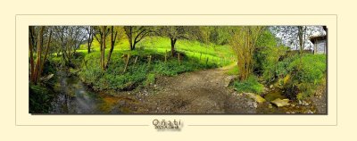 _DSC4648_stitch.jpg