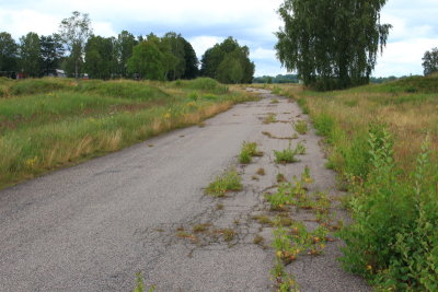 2020-08-02_3543.JPG