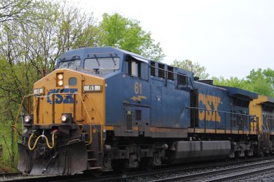 61