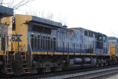 81