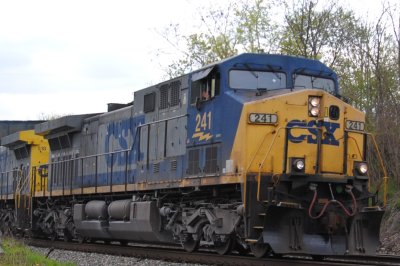 241