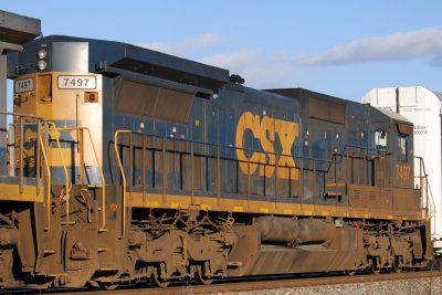 7497