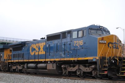 7316
