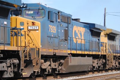 7929