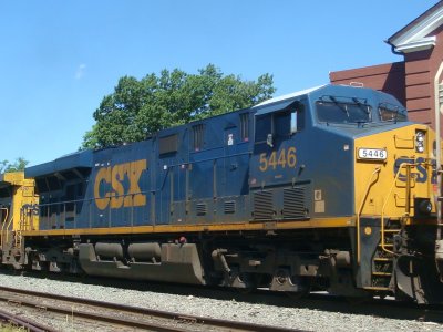 5446