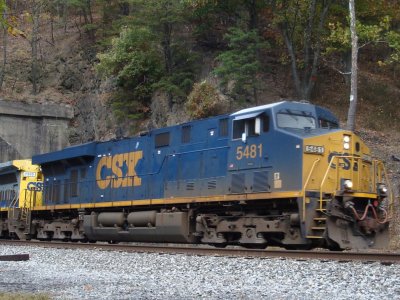 5481