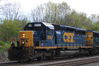 8067