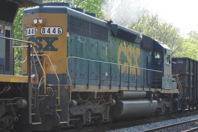 8446