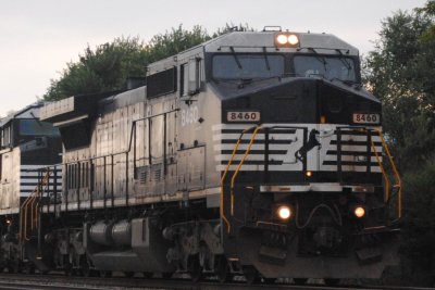 8460