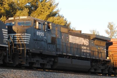 8955