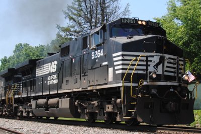 9264