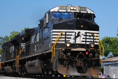 9919