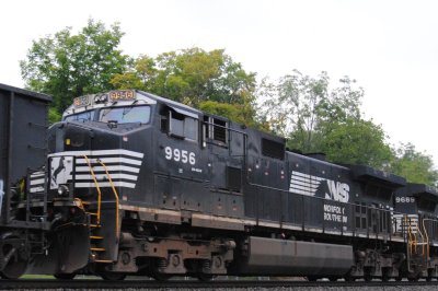9956