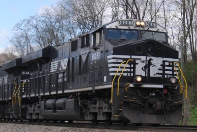8081