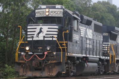 5568