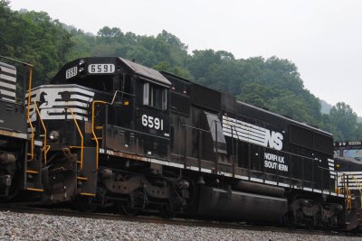 6591