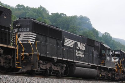 6619
