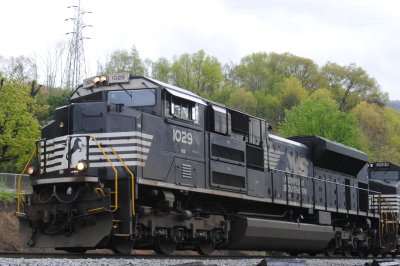 1029