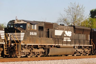 2629