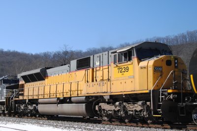 7239