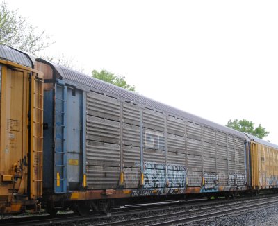 254811