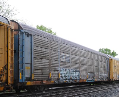 254811