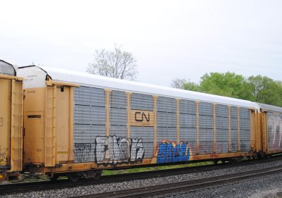 504304