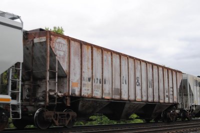 176876