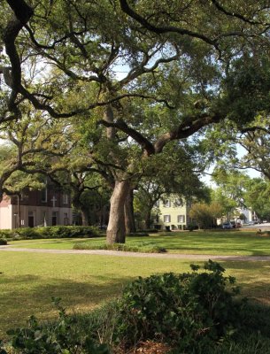 Greene Square