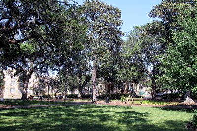 Oglethorpe Square