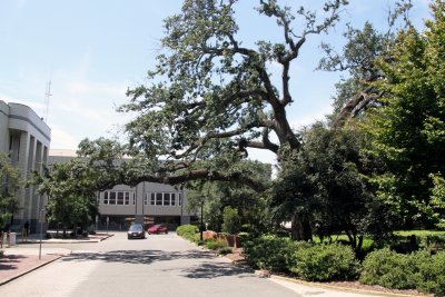 Telfair Square