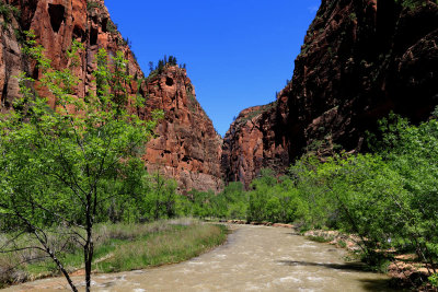 222A6742_copy_s.jpg