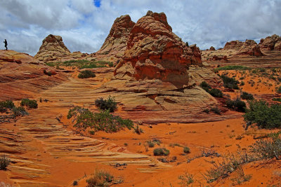 222A6924_copy_S.jpg