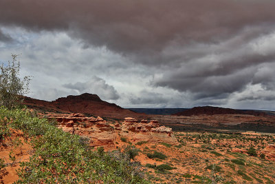 222A7054_copy_s.jpg