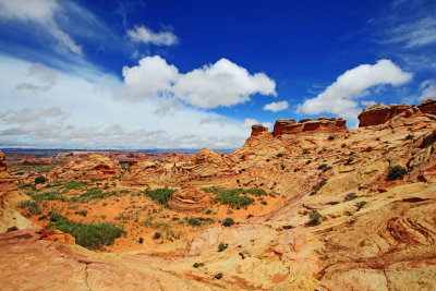 222A6972_copy_s.jpg