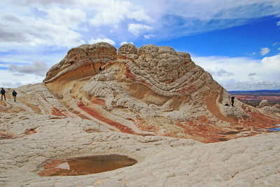 222A7105_copy_s.jpg