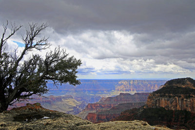 222A7271_copy_s.jpg
