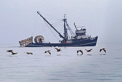 A24I1150 copy s.jpg