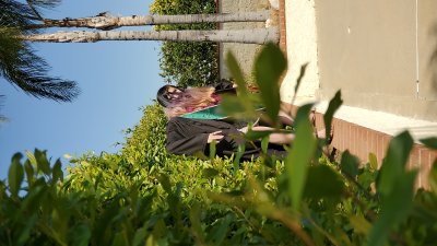 IMG_20210529_162258.jpg