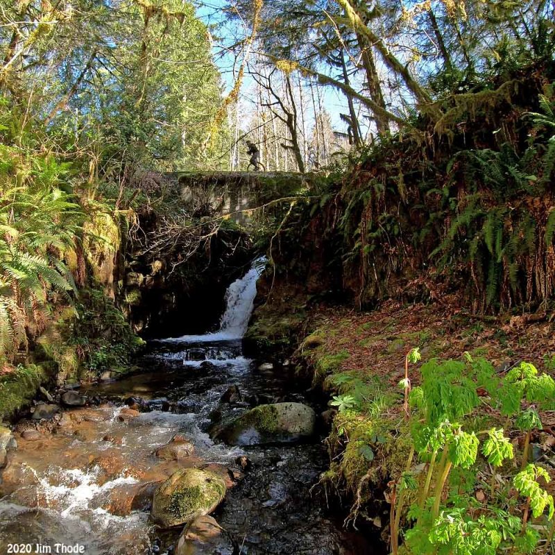 Whiskey Falls