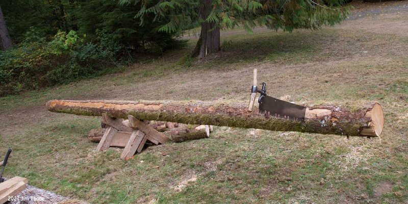 25 long log