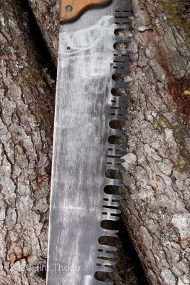 Z99A9077.JPG